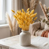 tételeket Lagurus Sárga, Bársonyfű, Nyúlfarkfű H20-50cm 25g