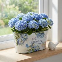 tételeket Virágtál ovális hortenzia műanyag tál 21,5×12,5cm H11cm
