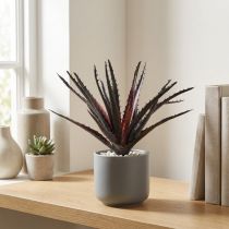 tételeket Aloe Vera műlila 26cm