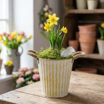 tételeket Fém kaspó, tavaszi dekoráció, ültető fülekkel, sárga, shabby chic, Ø18cm, M17.5cm