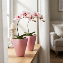 tételeket Virágcserép, műanyag váza, orchidea cserép, rózsaszín, 16,5 cm magas, 2 darab