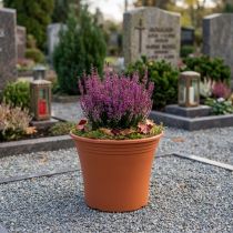 tételeket Fazék „Irys” műanyag terrakotta Ø15cm H13cm 1 db