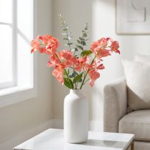 tételeket Orchidea Mokara Lazac 50cm 6 db