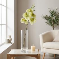 tételeket Orchidea Artificial Yellow Green Phalaenopsis 85cm