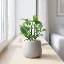 tételeket Mesterséges zöld növény zamatos műzöld H14cm