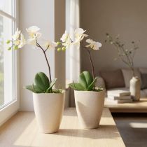 tételeket Orchidea cserép, virágcserép, műanyag, bézs foltos, 13,5x13cm, M16,5cm, 2 darab