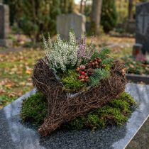 tételeket Szőlőszív a természet ültetéséhez 30cm x 25cm
