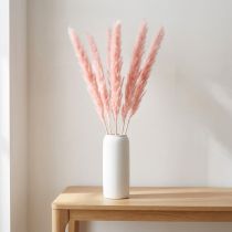 tételeket Pampa fű dekoráció, pampa fű szárított pampa fű rózsaszín 72cm 6 db