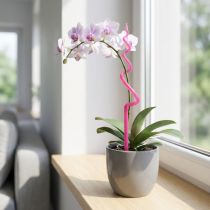 tételeket Orchidea karó, műanyag, rózsaszín, tartó, orchidea növénynek, M64cm
