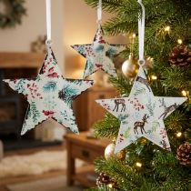 tételeket Karácsonyi díszek: csillag, szarvas, fenyőágak, bogyók, Ø8cm, 6 db-os díszes akasztó készlet, karácsonyfadíszek