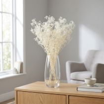 tételeket Gypsophila fehér szárított fű dekorációs krém 65-70cm 100g