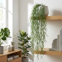 tételeket Dekoratív indák, korall kaktusz, mesterséges Rhipsalis vállfa Green L120cm