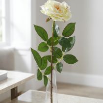 tételeket Műrózsa, díszrózsa, selyemvirág krémfehér, zöld L72cm Ø12cm
