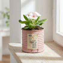 tételeket Virágcserép díszes fémből, kerek, antik rózsaszín, Ø8cm, M7.5cm