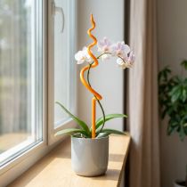 tételeket Orchidea karó, műanyag, narancssárga, orchideákhoz való mászóeszköz, M64cm