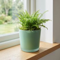tételeket Üveg virágcserép zöld ültető üveg kád Ø11,5cm H11cm