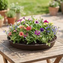 tételeket Rondino növénygyűrű Ø35-55cm, 1db