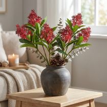 tételeket Művirágok Red Skimmia japonica Skimmie 45cm 2db