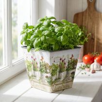 tételeket Fűszeres cserép, ültetőgép motívummal, ültetőgép H13cm Sz13,5cm