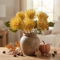 tételeket Protea művirág Leucospermum tűpárna sárga 30cm 6 db