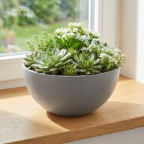 tételeket Műanyag virágcserép, szürke Ø25cm, M12cm