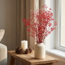 tételeket Gypsophila Gypsophila szárított virágok piros 50cm 55g