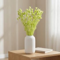 tételeket Szárított Nigella virágok, bájos természetes szobadísz otthonra, 70cm, 50g