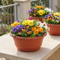 tételeket Műanyag virágtál Ø27cm kerek tál terrakotta 5db