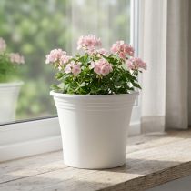 tételeket Műanyag edény „Irys” fehér Ø25cm H21cm 1 db