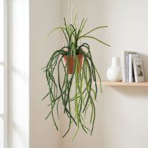 tételeket Rhipsalis mesterséges korallkaktusz függőkosár H87cm