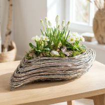 tételeket Növény csónak növény hullám rattan natúr fehér 45x16cm