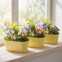 tételeket Növénytál ovális dísztál műanyag sárga 27×11×10cm 3db