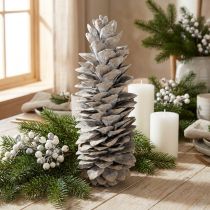 tételeket Fehérre meszelt cukorfenyőtobozok 20cm - 30cm