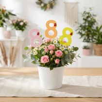 tételeket Jubileumi szám "8" színes szám dugó fa 7,5cm 16 db
