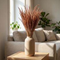 tételeket Red Bent Grass Agrostis Dry Grass Red Barna 65cm 80g