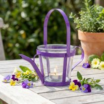 tételeket Lámpás üveg dekoratív öntözőkanna fém lila Ø14cm H13cm