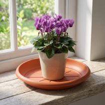 tételeket "Linda" csészealj Ø18cm terrakotta