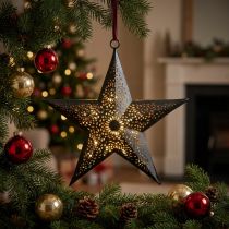 tételeket Karácsonyi fogas Star Metal Star Black H19cm