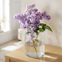 tételeket Üvegváza átlátszó hengeres Ø12cm H20cm