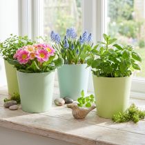 tételeket Papíredény, cachepot, virágtartó kék/zöld Ø11cm H10cm 4db