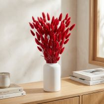 tételeket Nyúlfarkfű (Lagurus) Szárított Piros 60cm 50g Szárított Virágdekoráció