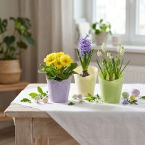 tételeket Cserepes szőtt ültetőpapír zöld, sárga, lila Ø7cm H13cm 12db