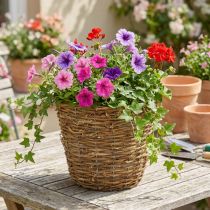 tételeket Szőlőültető kosár Ø25cm M22.5cm natúr virágtartóval