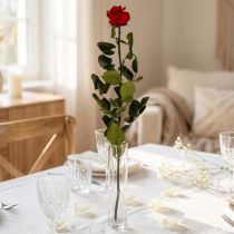 tételeket Infinity Rose levelekkel tartósított Amorosa Red L54cm