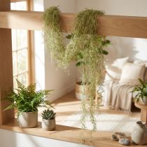 tételeket Tillandsia dekoratív akasztós Tillandsia műzöld fehér 180cm