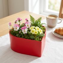 tételeket Romantikus növény szív növény tál szív piros 15×15×7cm 3db