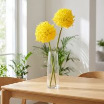 tételeket Allium sárga virágos műhagyma 80cm Ø14,5cm 2db
