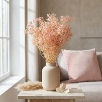 tételeket Gypsophila dekoráció narancs szárított fű őszibarack 65-70cm 100g