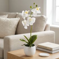 tételeket Fehér orchidea művirág cserépben Phalaenopsis M33cm