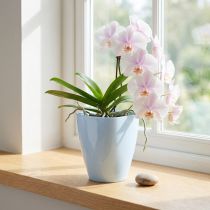tételeket Orchidea cserép fényes Ø12,5cm fehér 1 db